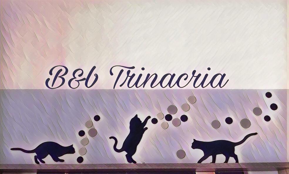 Trinacria Bed and Breakfast Παλέρμο Εξωτερικό φωτογραφία